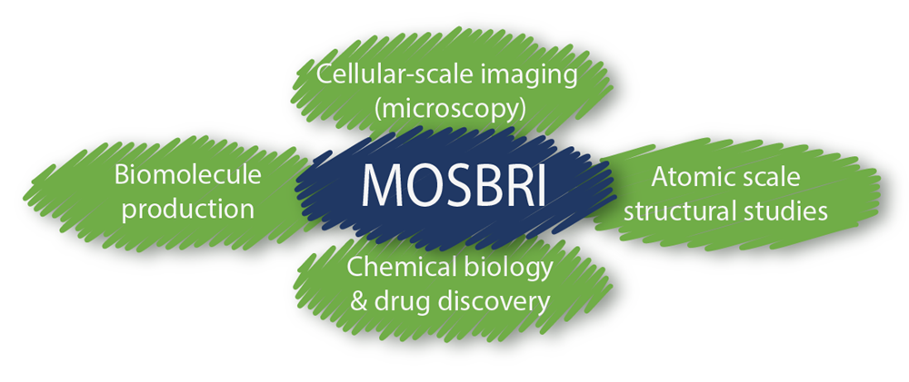 MOSBRI scientific areas