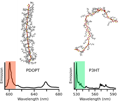 Single-molecule photoluminescence spectra of single PDOPT (left) and P3HT (right) chains