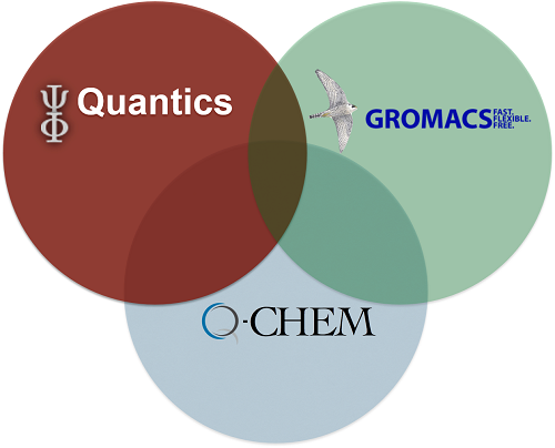 On-the-fly quantum dynamics in a complex environment