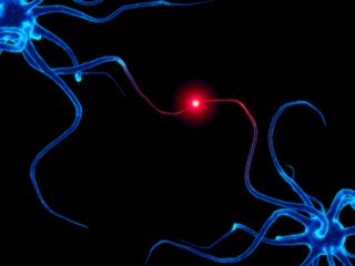 Visualisatie van signaaloverdracht tussen neuronen in je hersenen ©Sebastian Kaulitzki.