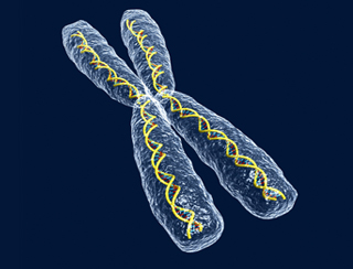 De delen van een DNA molecuul zijn in een dubbele helix om elkaar heen gedraaid ©sgame.