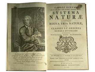 Linnaeus kwam halverwege de 18e eeuw op de proppen met een handig systeem om de onderdelen der natuur te beschrijven en te rangschikken.