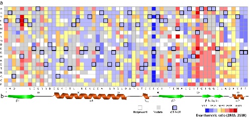 Kaart waarin de enantioselectiviteit (kleuren) van het enzym 4-OT is uitgezet tegen de aangebrachte mutatie. Horizontaal de positie in het eiwit, vertikaal de alternatieve aminozuren | Illustration Poelarend / Nature Communications