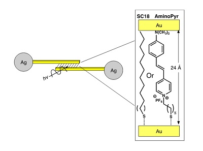 Schema van het systeem om moleculaire monolagen te bestuderen| Illustratie Chiechi lab