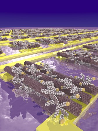 Impressie van koolstof nanobuisjes op gouden elektroden | Illustratie Arjen Kamp