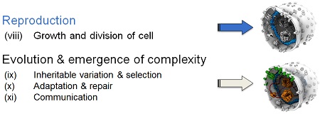 Stappen voor het maken van een synthetische cel | Illustratie Pooman et al.
