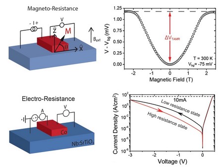 TAMR and electroresistance in aniobium doped strontium titanate (SrTiO3) semiconductor with ferromagnetic cobalt Top left: a simple device of Co on Nb doped SrTiO3 oxide semiconductor and the four-probe measurement scheme. Top right: a large TAMR value is obtained at room temperature due to a change in the junction tunnel conductance when the magnetization is rotated in respect to the direction of the current flow. Bottom left: the same device geometry is used to study the electroresistance state of the same junction (bottom right). | Illustration Banerjee group / Scientific Reports