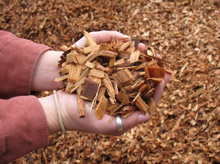 Wood chips are a common source of lignocellulose
