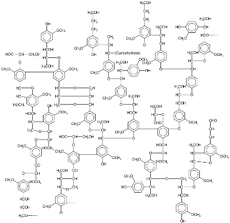 Lignine structuur (in dit geval 28 monomeren) | Illustratie Wikimedia, Karol Głąbpl