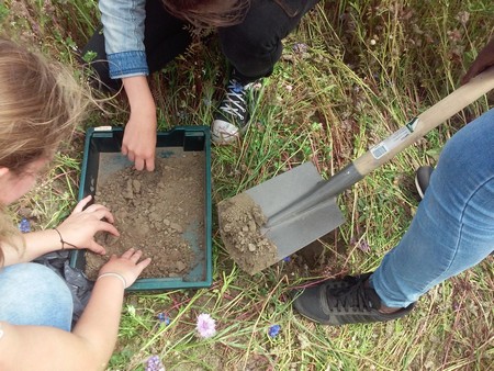 Nederlandse scholieren doen onderzoek in een weiland | Foto Science LinX