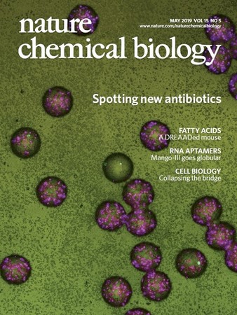 Illustratie van het onderzoek op de cover van Nature Chemical Biology | Illustratie Nature publisher