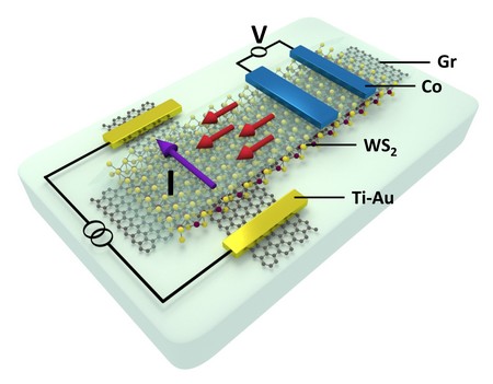 Schematics of a nanodevice, used for observation of charge-to-spin conversion in a van der Waals heterostructure of graphene and WS2. The purple and red arrows show charge current and the generated spin accumulation, respectively. | Illustration Ghiasi et al