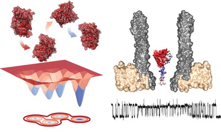 Links: energie-diagram van de vier vormen die het enzym aan kan nemen. Rechts: enzym in de nanoporie, met eronder een meting van de ionenstroom | Illustratie G. Maglia, RUG