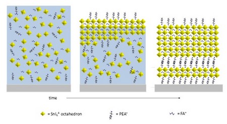 Schema van het kristallisatie-mechanisme tijdens het drogen van films van 2D en 3D perovskiet. | Illustratie G. Portale, RUG