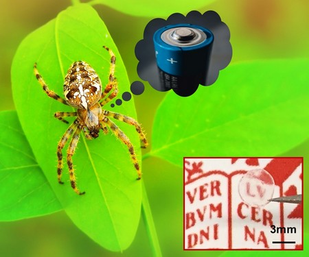 What do spiders have in common with batteries? Nothing so far, but material developed by G. Portale and co-workers may change this in the future. The inset shows a robust membrane created using a spider silk inspired polyelectrolyte that is capable of efficiently transport protons.| Illustration Giuseppe Portale