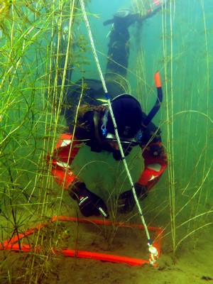 Marin van Regteren, destijds master student Mariene Biologie aan de RUG, inventariseert plantengroei onder water | Foto Joakim Hansen, Stockholm University