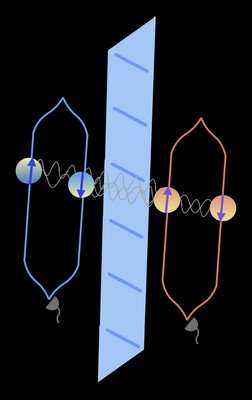 Illustratie van het experiment: twee systemen in superpositie in vrije val trekken elkaar aan via de zwaartekracht, maar ook via het Casimir effect. Dit laatste is te blokkeren via een koperen plaat. | Illustratie A. Mazumdar, RUG