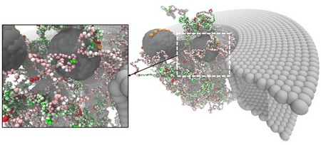 Fragment van de simulatie van de porie met het kunstmatige nucleoporine NupX in een siliciumnitride membraan. Nanoporiën gevuld met NupX laten alleen moleculen gebonden aan speciale transporteiwitten (de chaperonnes) door. Andere, niet-specifieke moleculen komen er niet doorheen. | Illustatie RUG