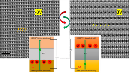 Electron microscope images, in the left panel a sample with a lot of oxygen atoms (some indicated with arrows), in the right panel a sample with many oxygen vacancies (some indicated with arrows). The schematic illustration shows movement of oxygen atoms and oxygen vacancies for two settings of the electric field over the capacitor. | Illustration Pavan Nukala