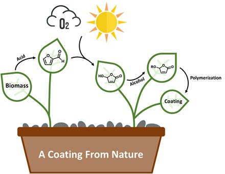 Een coating gemaakt uit biomassa met behulp van zichtbaar licht, zuurstof en UV-licht is een van de successen van het ARC CBBC | Illustratie George Hermens en Paco Visser, Rijksuniversiteit Groningen