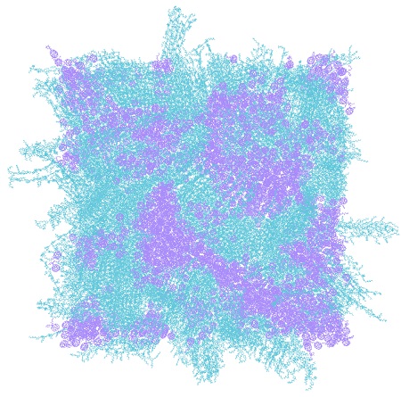 Bovenaanzicht van de morfologie an de P3HT:PCBM dunne film in een simulatie van 40 x 40 x 5 nm^3 | Illustratie Elisa Palacino-González, RUG