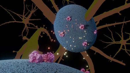 Illustratie van zenuwcellen (blauw) met het glutamaat transporteiwit (roze) en glutamaat en negatieve ionen in geel en oranje. | A. Guskov