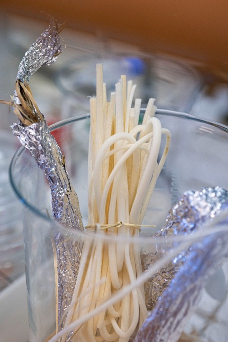 Peeled soft rush stems in a glass