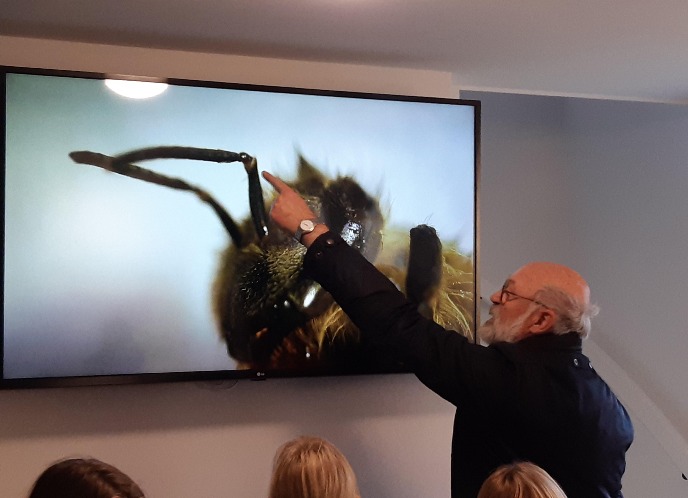 Meneer Schudde geeft uitleg over de antennes van de bij in Loppersum (Foto: Martijn Pot)Meneer Schudde gives an explanation about the antennas of a bee (Photo: Martijn Pot)