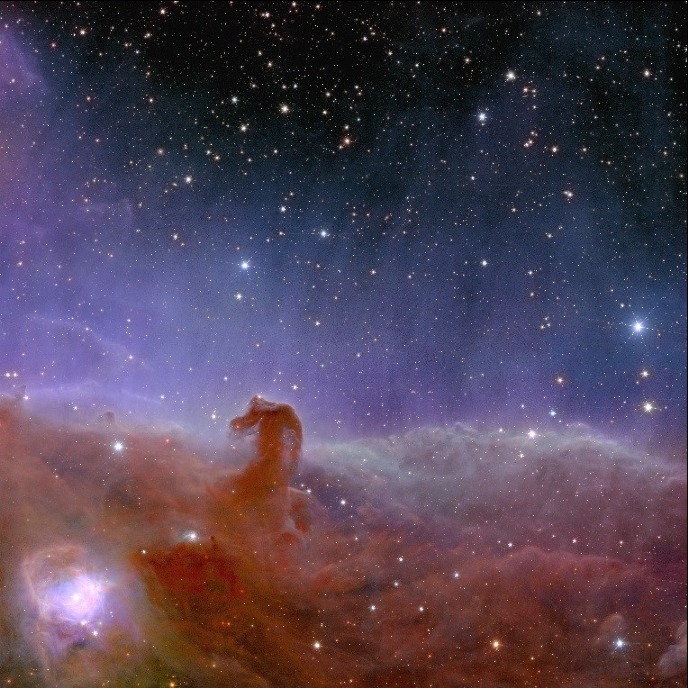 De paardenkopnevelThe Horsehead Nebula, imaged by Euclid
