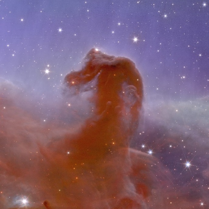 De paardenkopnevel, ingezoomdThe Horsehead Nebula, zoomed in 