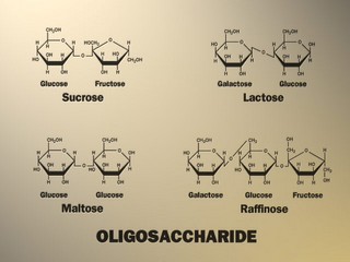 oligosacchariden
