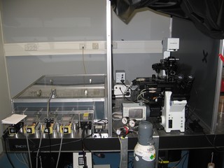 Een microscoop van Van Oijen, met links de laser opstelling.