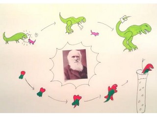 Darwiniaanse en chemische evolutie