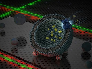 Illustratie van het meetsysteem met lasers en een eiwit in een lipide blaasje.