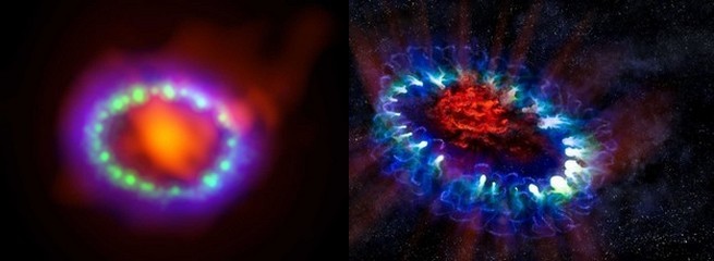 Beelden van ALMA (links), met stof in rood en de schokgolf in blauw/groen. Rechts een 'artists impression' van het supernova restant.