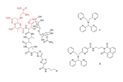 Bleomycine (links), N4Py (1) en een aangepaste versie van N4Py (2)