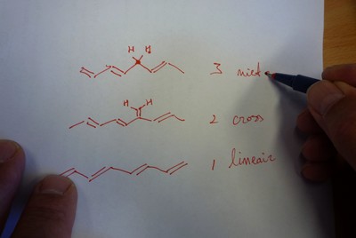 De verschillende moleculen