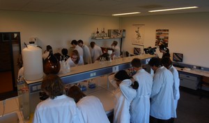 Pupils during the practical | Photo Science LinX