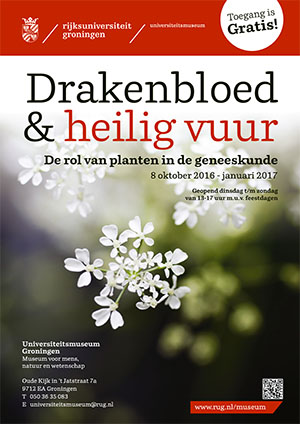 drakenbloed en heilig vuur