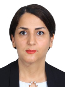 Profielfoto van Z. (Zara Mohamadian) Zara Mohammadian, PhD