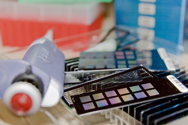The Genome Analysis Facility will be pleased to be your partner in research