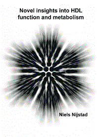 Niels Nijstad 2010