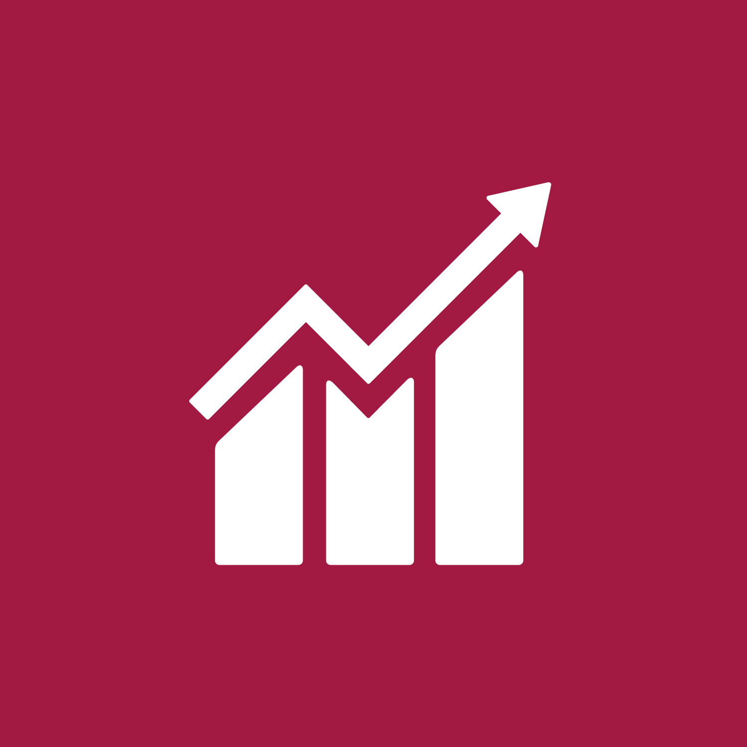 SDG 8 &ndash; Fatsoenlijk werk en economische groei