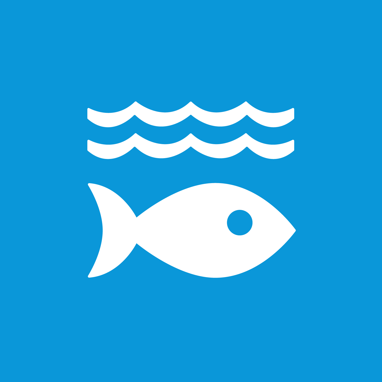 SDG 14 – Leven onder water SDG 14 – Leven onder water