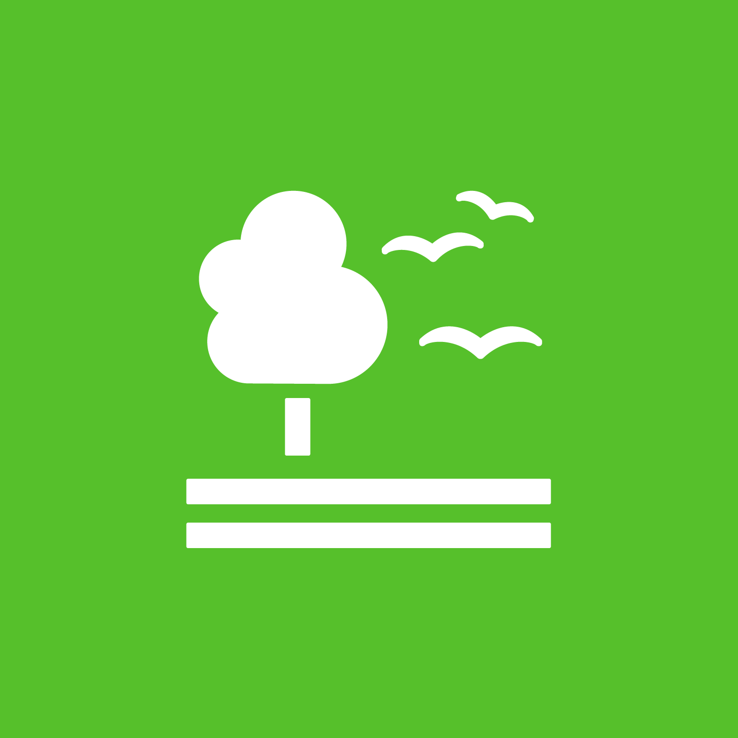 SDG 15 &ndash; Leven op het land