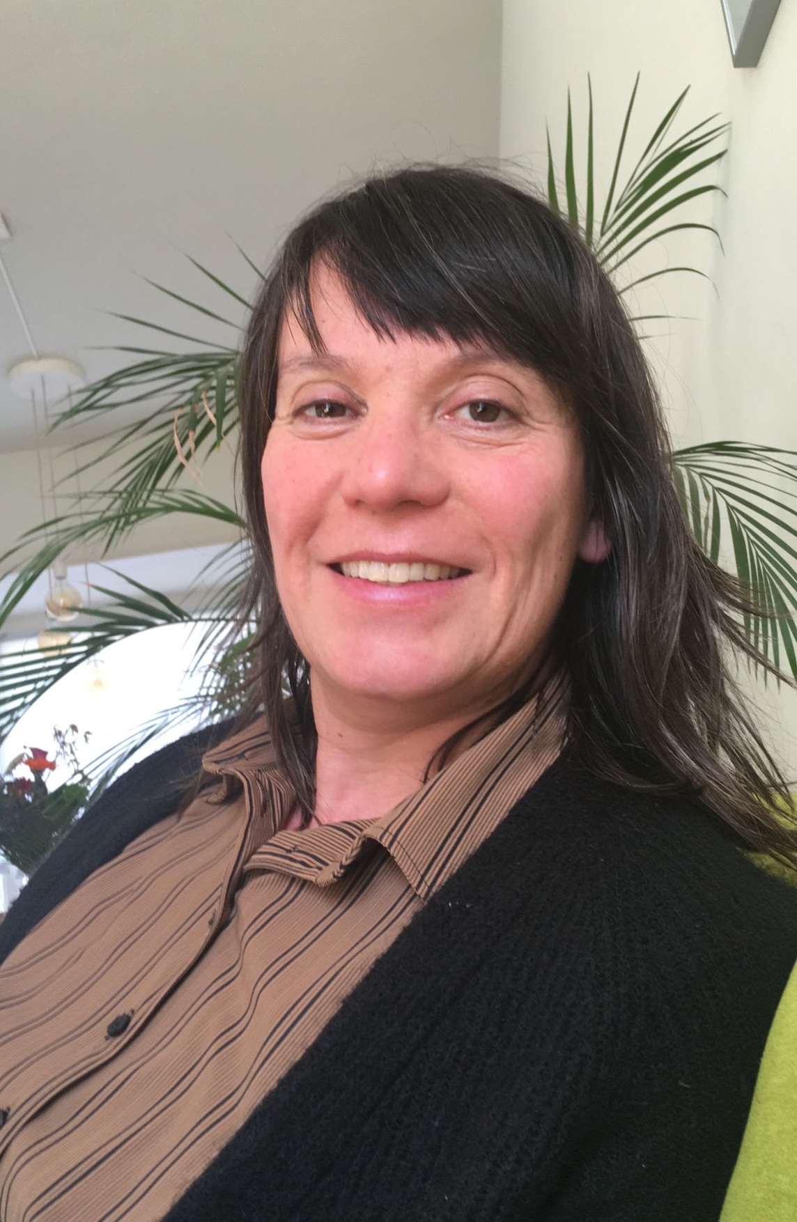 decoratieve afbeelding