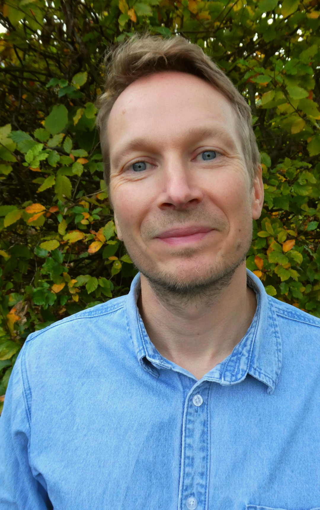 decoratieve afbeelding