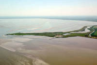 De Punt van Reide, tussen de Dollard en de Eems