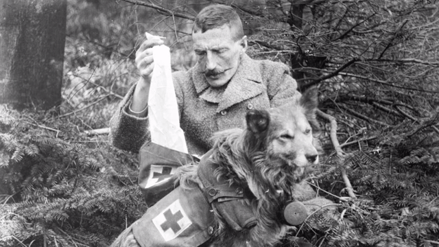 Man and animals grow closer in wartime