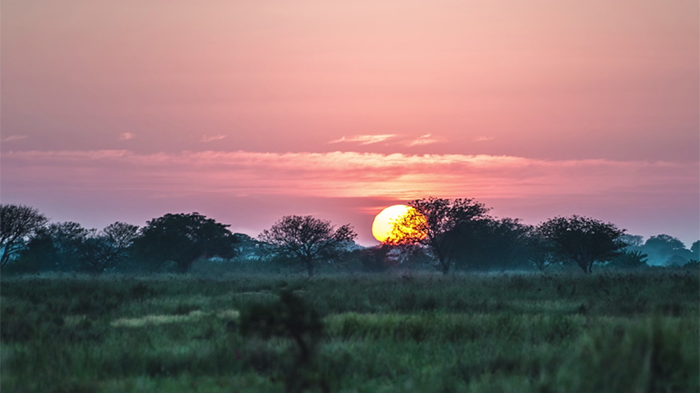 Energy Academy Europe verzorgt onderwijs in Mozambique